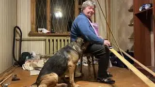 Такая милота! ☺️ #video #videos