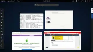 How to connect TOR at Tails 5 OS, when TOR is blocked, using VPN and OpenVPN package