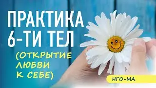 Практика 6-ти тел (открытие Самости)