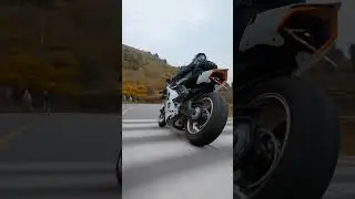 Dope or nope🔥🔥 #shortvideo #ladybiker #motorcycle #ducati