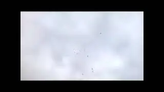 Детство с голубями