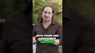 Maximizing Cannabis Growth with Aquaponics The Natural Advantage