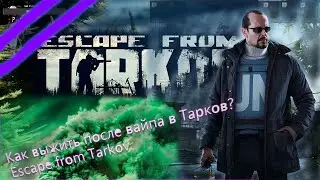 Как выжить после вайпа в тарков? Escape from Tarkov.