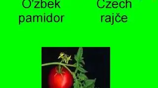 Gulkaram chehchasi nima bo'ladi