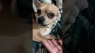 ❤️ТУЗИК❤️