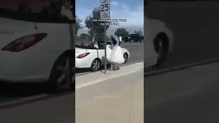 If the driver is Chris, I never look back