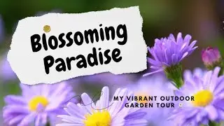 Blossoming Beauty: My Enchanting Middle Eastern Garden Tour [4K]