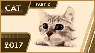 Speedbuild // Cat (Part 2)