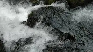 Test POCKET4K on gimbal LETUS HELIX Jr. - WATERS