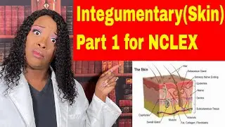 Integumentary for Nursing