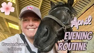 EQUESTRIAN EVENING YARD ROUTINE 🌸