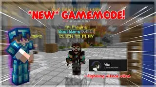 This new hypixel gamemode is insane!