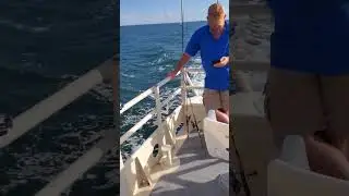 Caught a whole trash can of fish #youtubeshorts #fishing #ocean #gulfcoast #youtube