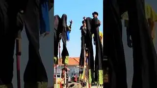 Aksi Jangkungan Zebra Yang Menakjubkan 😱