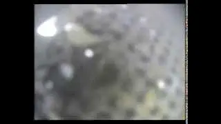 Тамбов автозаправка скважина