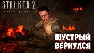 Прохождение STALKER 2  || Симулятор Курьера || Voli Channel