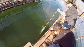 We Hit The Jackpot Magnet Fishing!! Possible Sunken Boat Found!?!