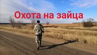 Охота на зайца 2020-2021 по чернотропу