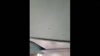 Live Stream