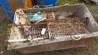 заливка бюджетного подъезда к гаражу своими руками.сделай сам гараж 4×6 из газоблоков. бетонирование