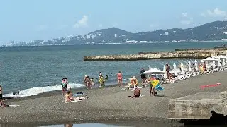 БАРХАТНЫЙ СЕЗОН В СОЧИ / Светлана / Маяк / Ривьера / Центр / Навагинская