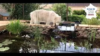 bassin , scènes de vie quotidienne