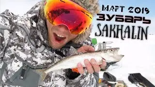 Рыбалка на корюшку!  Подледная рыбалка, Март 2019