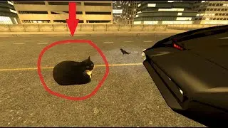 K.I.T.T. Cannot Pet The 𝘾𝘼𝙏