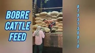 #bobre cattle feed