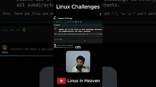 Linux Challenges 