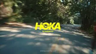 We Are All Born To Fly - Road