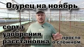 Огурец в глубокую осень|Легко и просто