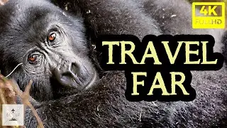 Gorilla Trekking Uganda: a Bucketlist Travel Adventure