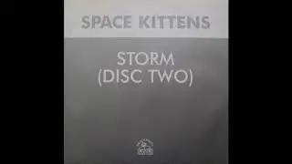 Space Kittens - Storm (Pete Bones Shaker Mix)