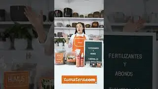 Conoce las diferencias entre abonos y fertilizantes para tus plantas