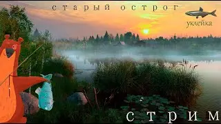 русская рыбалка 4 локация старый острог! рулетка выбрала уклейку на стрим!