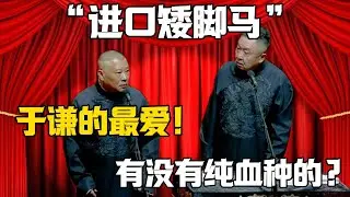 【進口矮腳馬】郭德綱：于謙的最愛！于謙：有沒有純血統的？德雲社相聲大全 #郭德纲 #于谦#德云社#岳云鹏
