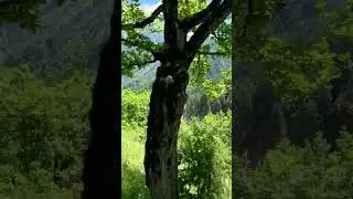 Ужасно красивая Цунта. Цунтинский район с Шаури