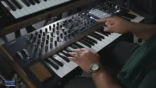 Arturia PolyBrute Is Pretty Dope! - My Thoughts & Why I Dig It So Far