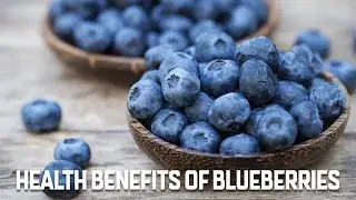 Health Benefits of Blueberries 🫐