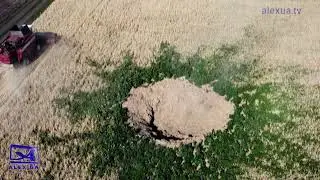 Пологи