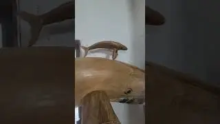 6 foot tall fir humpback whale