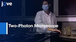 Two-Photon Microscope for in Gastrula for Controlled Volume Ablations | Protocol Preview