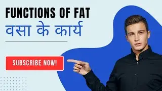 वसा के कार्य || What are the Functions of Fat ?| Ajay Sagar|5 February 2025