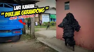 AKIBAT NGEJEK GERANDONG BOCIL LANGSUNG DIKEJAR❗️❗️KUDA LUMPING MEDAL PUSAKA 💥 LEMBUR KURING