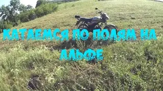 Катаемся по полям на альфе