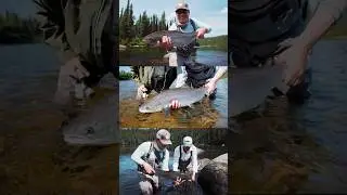 Probably every minute if I’m being completely honest 😅 #fishing #flyfishing #fishinglife
