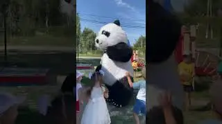 Панда на детском празднике #panda #umka #Амиго #Умка #dance #umkarostov #мишкаумка #амиго