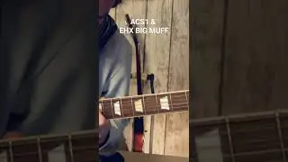 Walrus Audio ACS1 & EHX Big Muff 