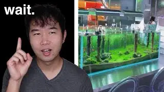 this aquarium cafe will LEAVE YOU SPEECHLESS | Fish Tank Review 164